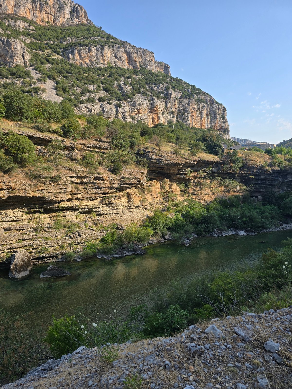 Dog walk through a sunlit river canyon on a summer morning