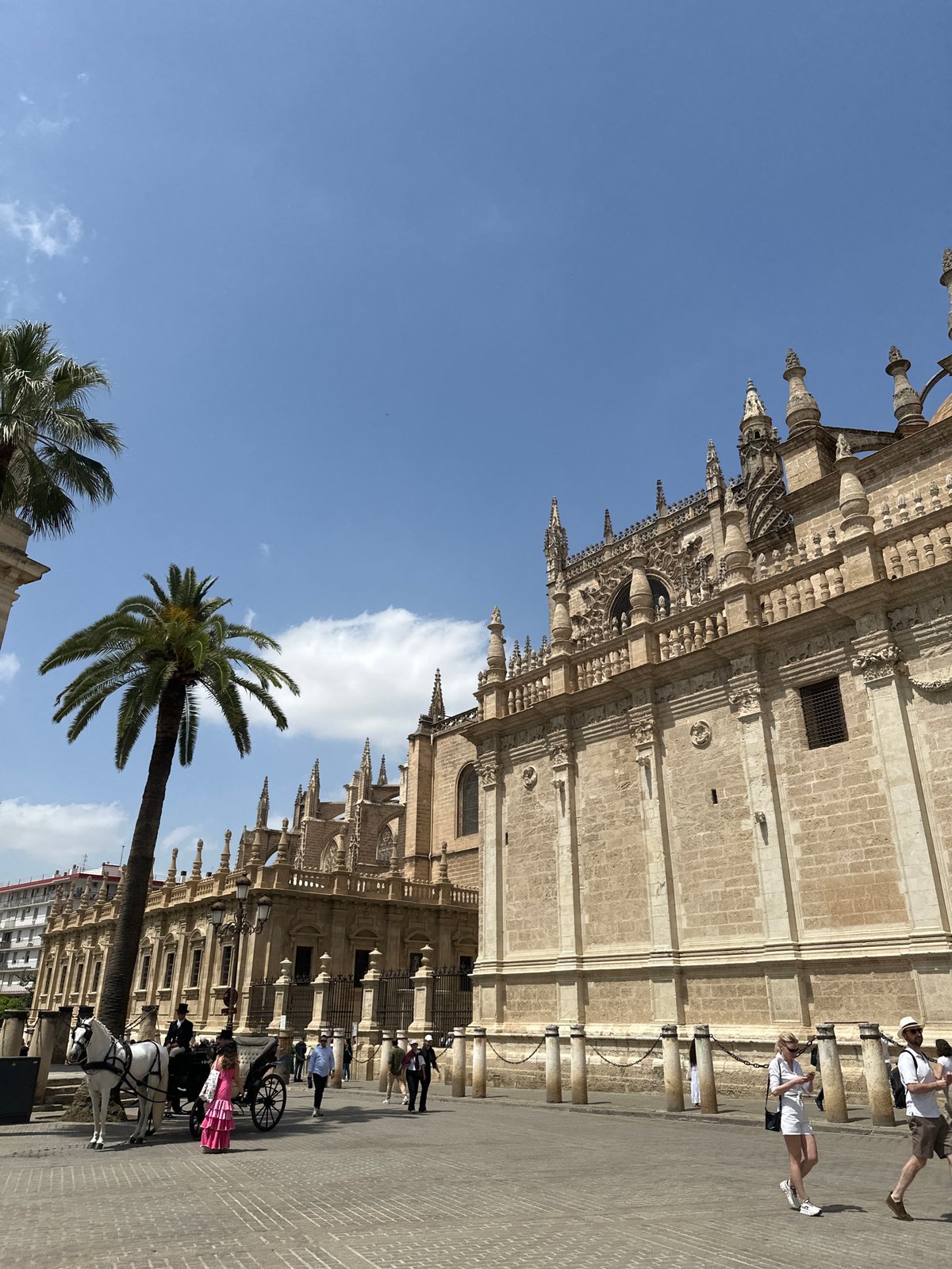 Sunny midday scenes documented at Seville Cathedral, Spain