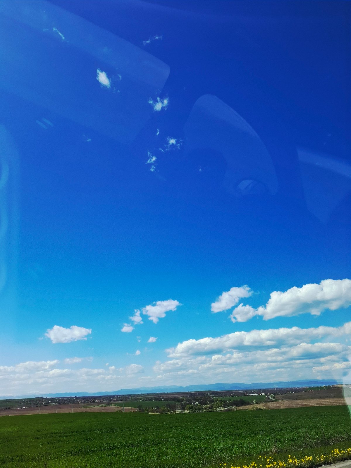 Roadside spring scene documented with leafless trees, blue skies
