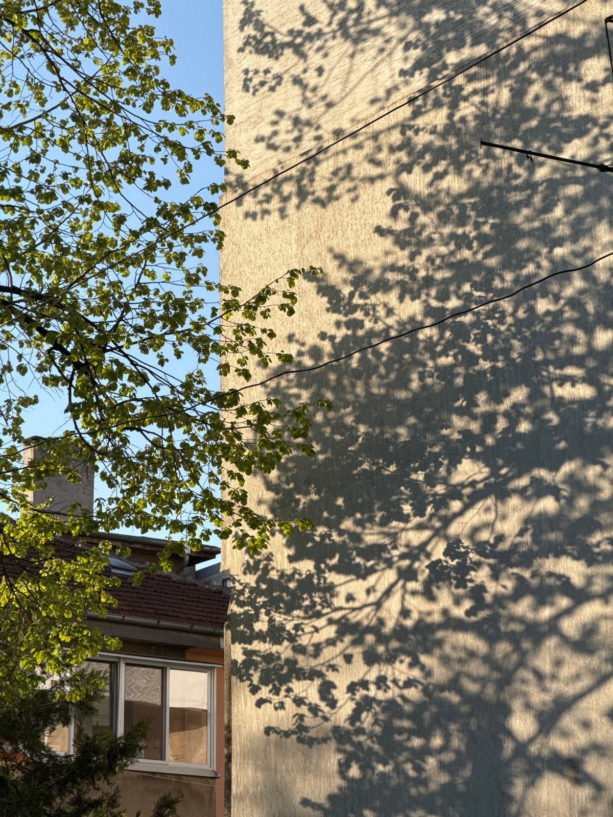 Morning architectural documentation walk through Sofia residential district