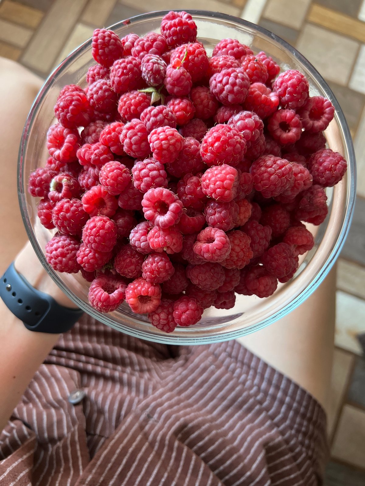 Fresh raspberries and zucchini at home in Tolyatti