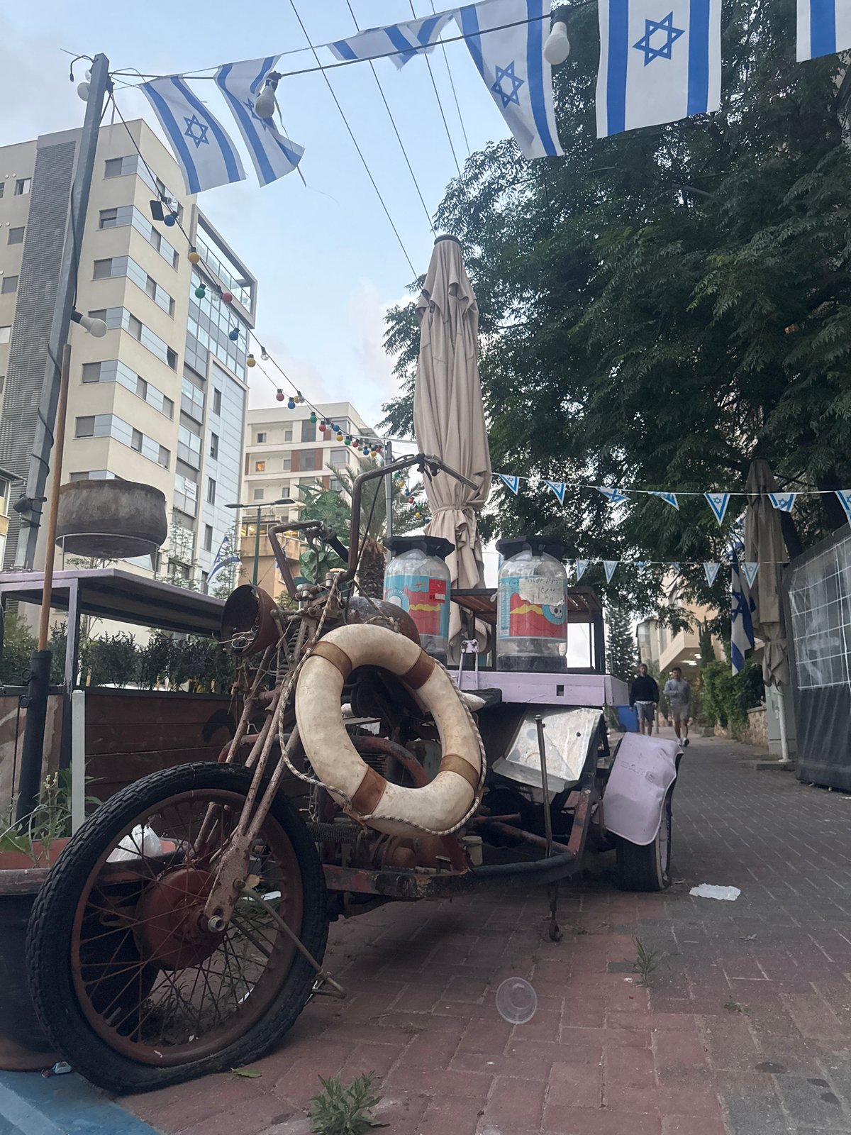 Evening street scenes with illuminated trees documented in Ramat Gan