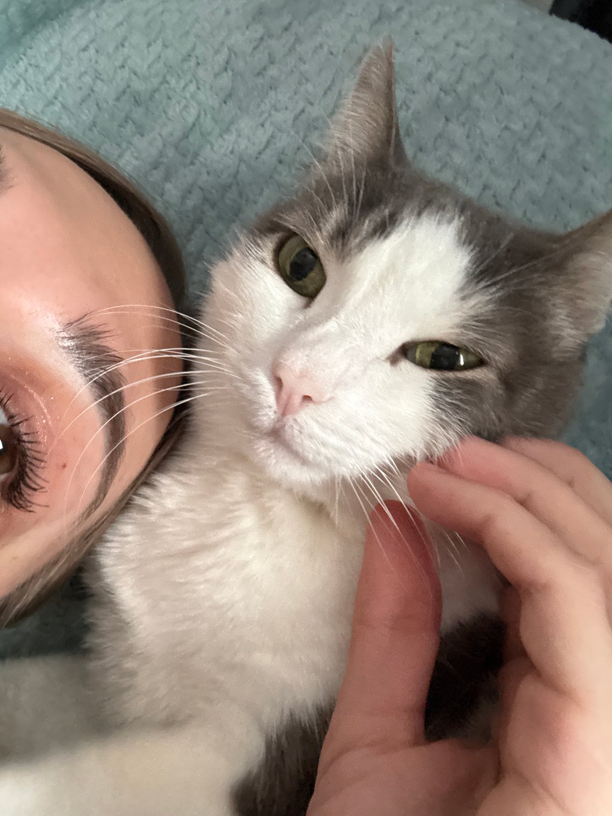 Person rests with cat on blue surface in Ust-Ilimsk