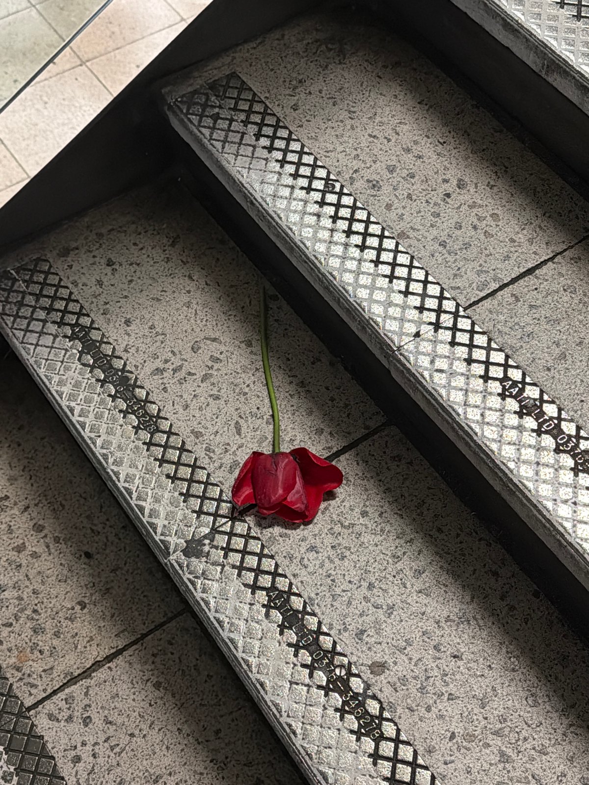 Red flower found on London staircase