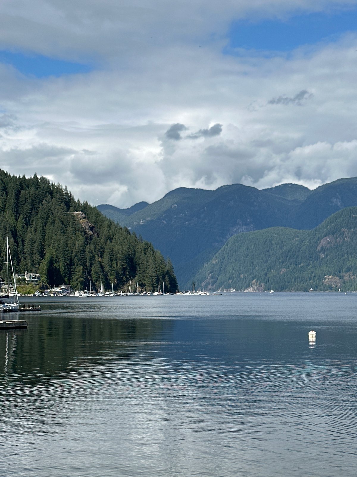 Deep Cove waterfront buzzing with kayaks, paddleboards, and summer crowds