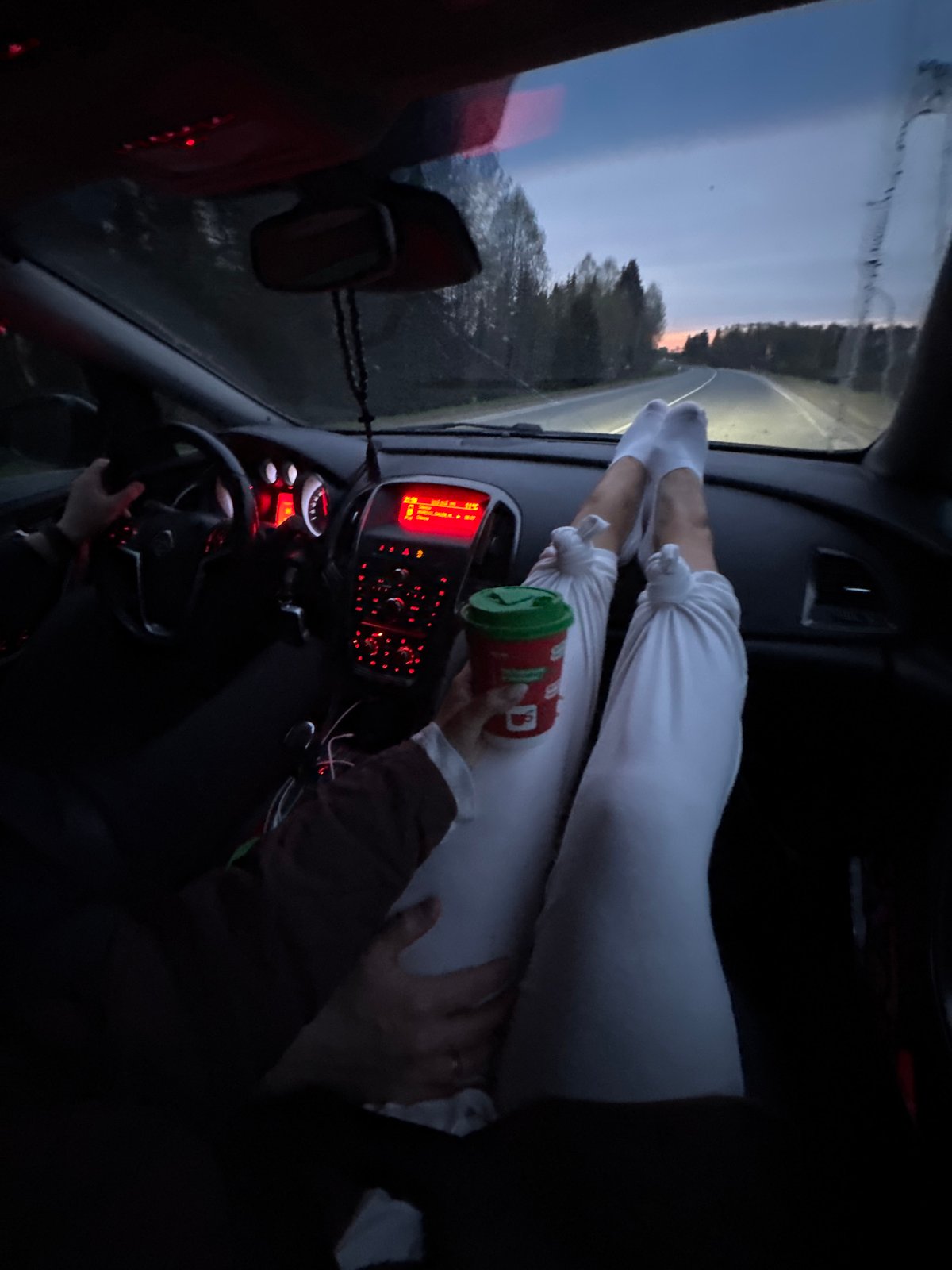 Vehicle interior photographed from back seat in Polozovo, Russia