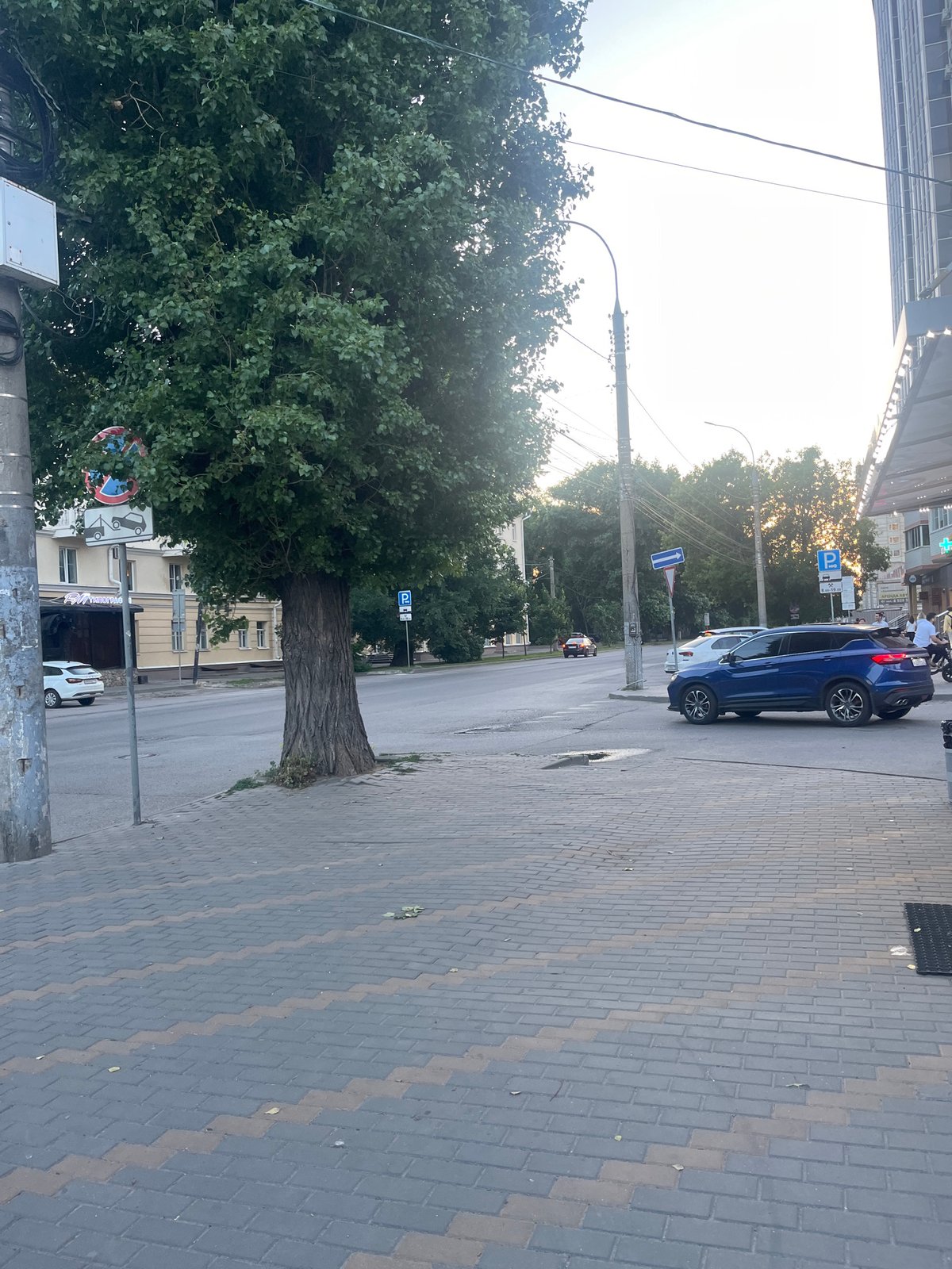 Afternoon stroll near School No. 45 in Voronezh, toy pigeon in tow