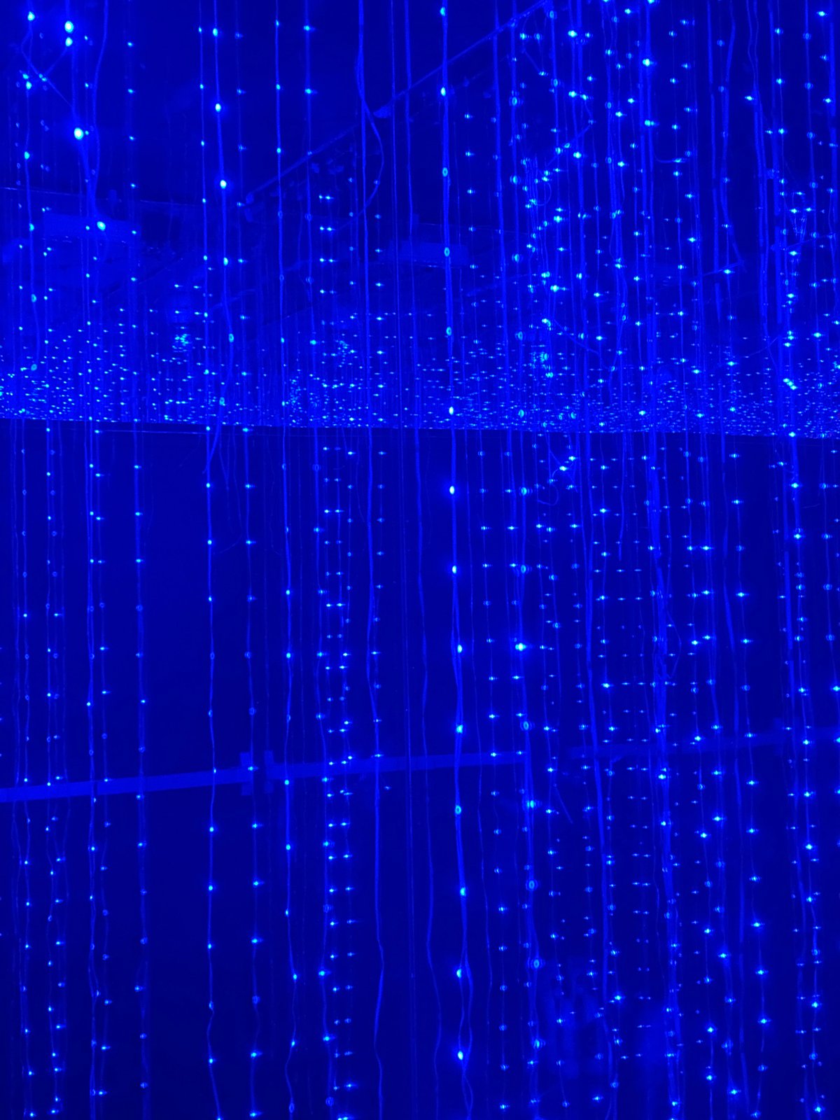 Bar interior lighting documented in San Bernardino Tlaxcalancingo