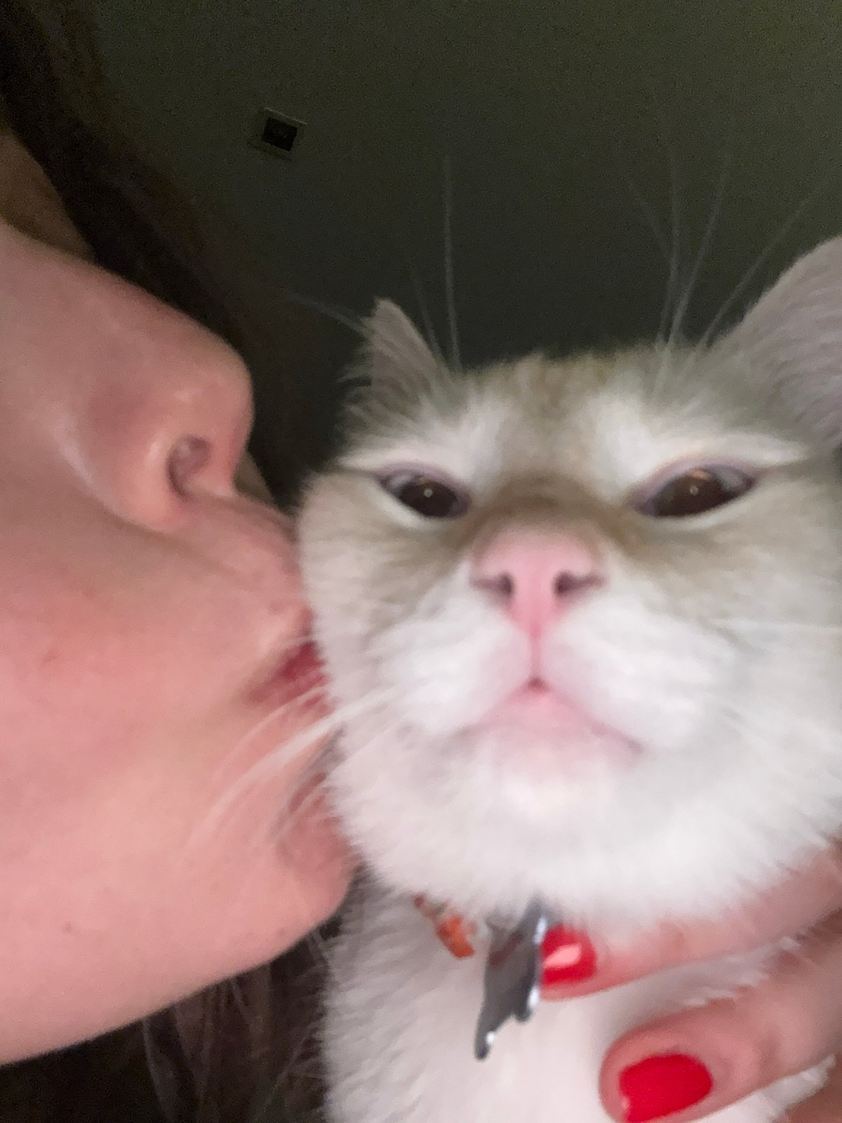 Person shares tender moment with white cat in Mexico City