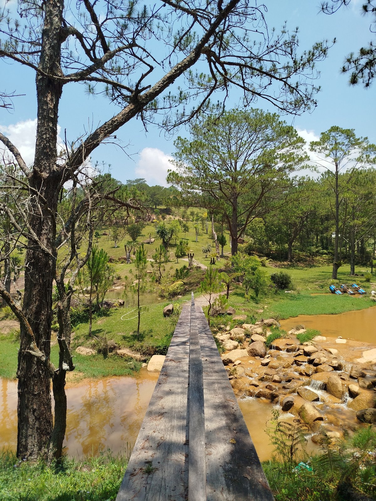 Wooden bridge over brown water documented in Vietnamese forest
