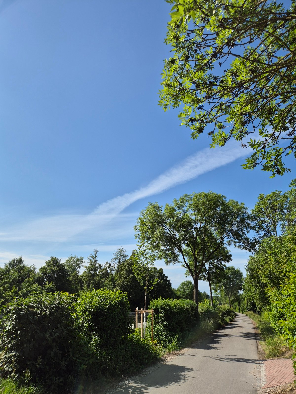 Morning walk documented along rural pathway with overpass