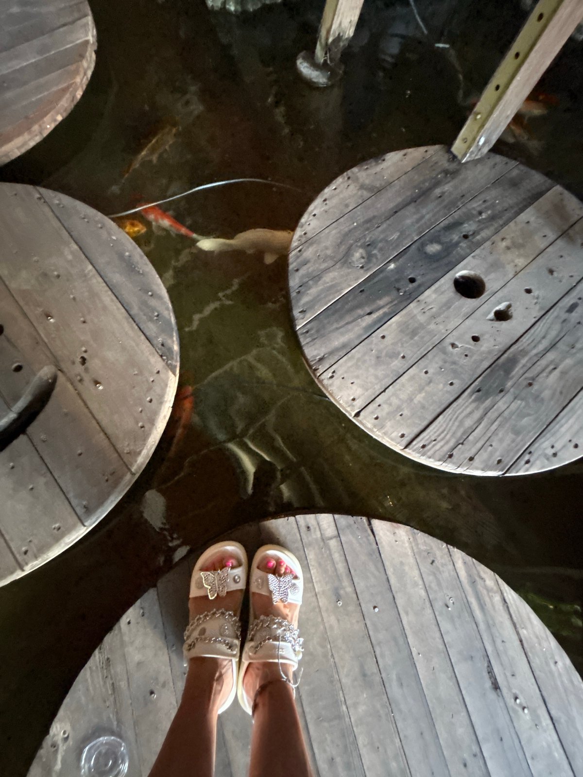 Morning scenes in Bắc Nha Trang: koi pond visit, street vendor