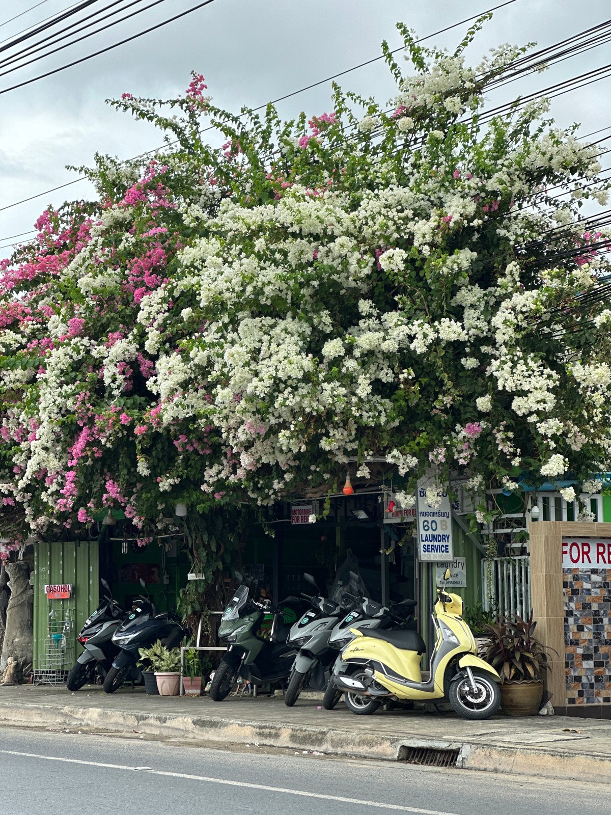 Street corner and numbered post in Ko Samui, Thailand