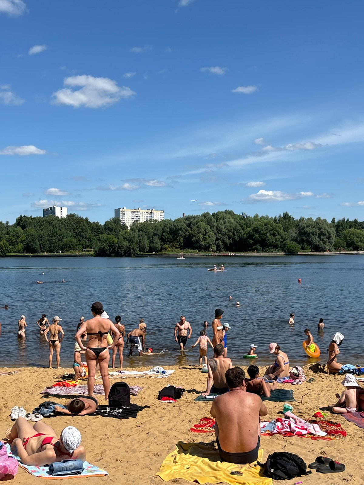 Summer beach day and blooming cosmos flowers in Dolgoprudny