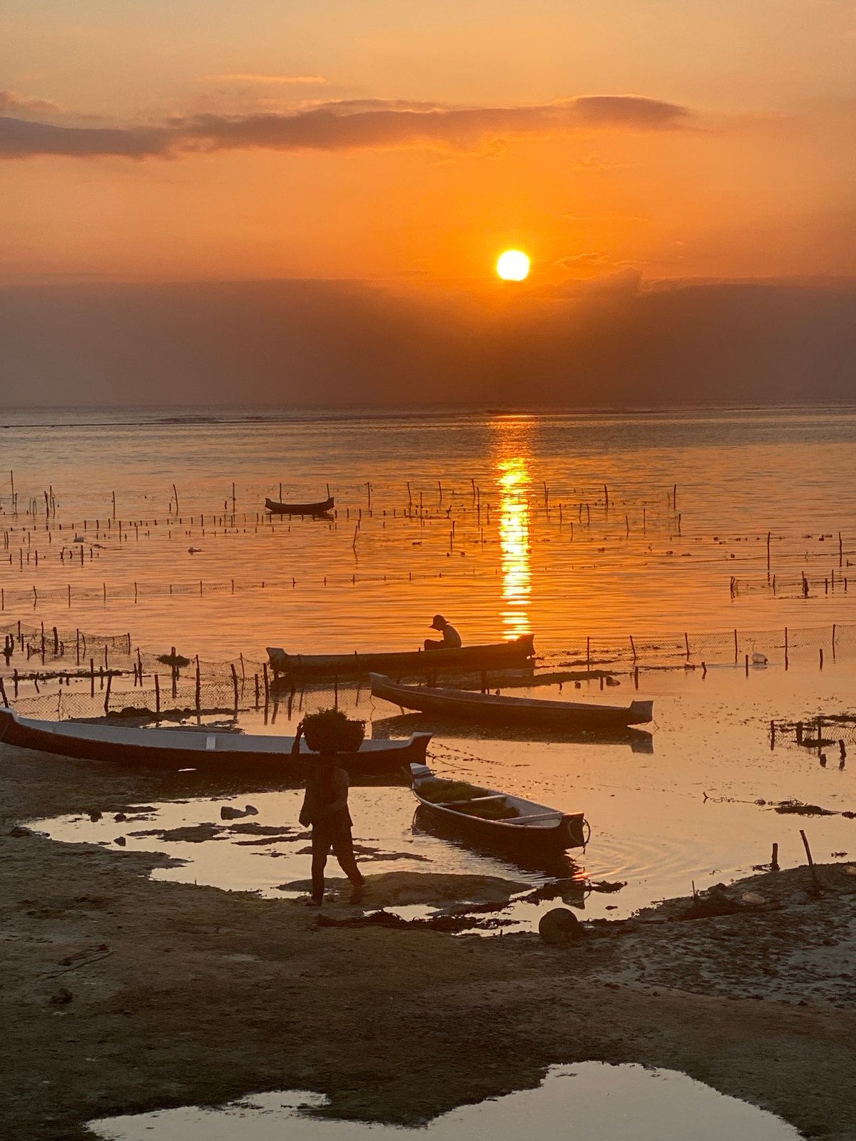 Sunset, hammocks, and seaweed farming on Nusa Penida