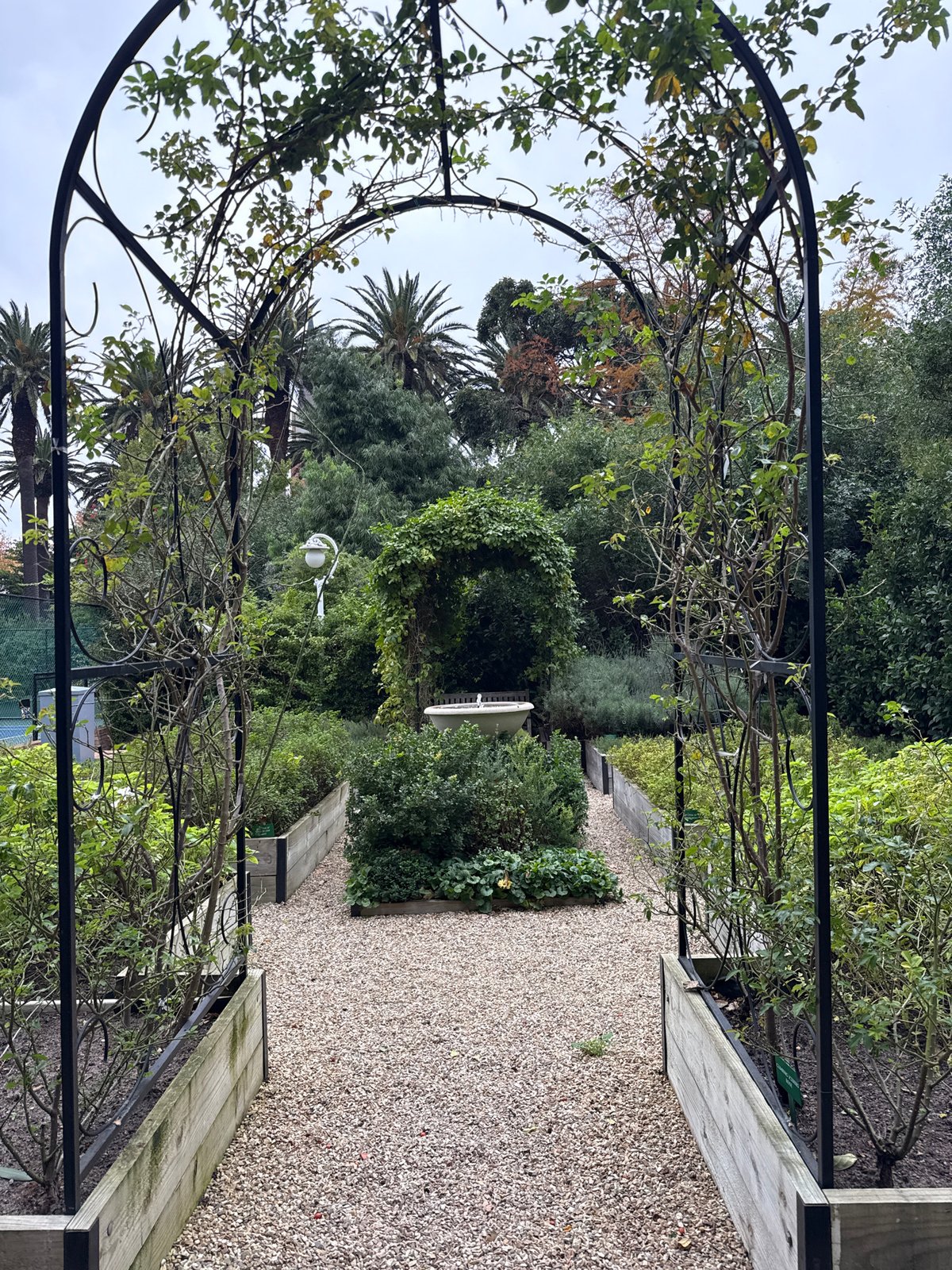 Visitor documents Cape Town public garden complex during afternoon stroll