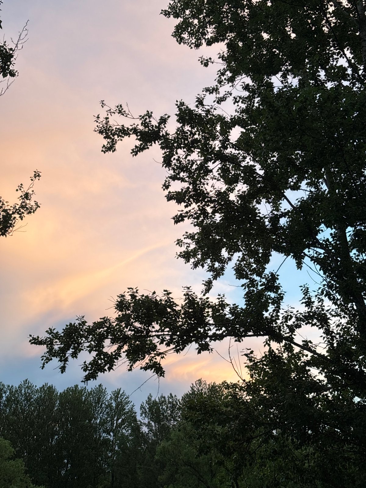 Woman documents evening with selfies and sky views in Rusanovo