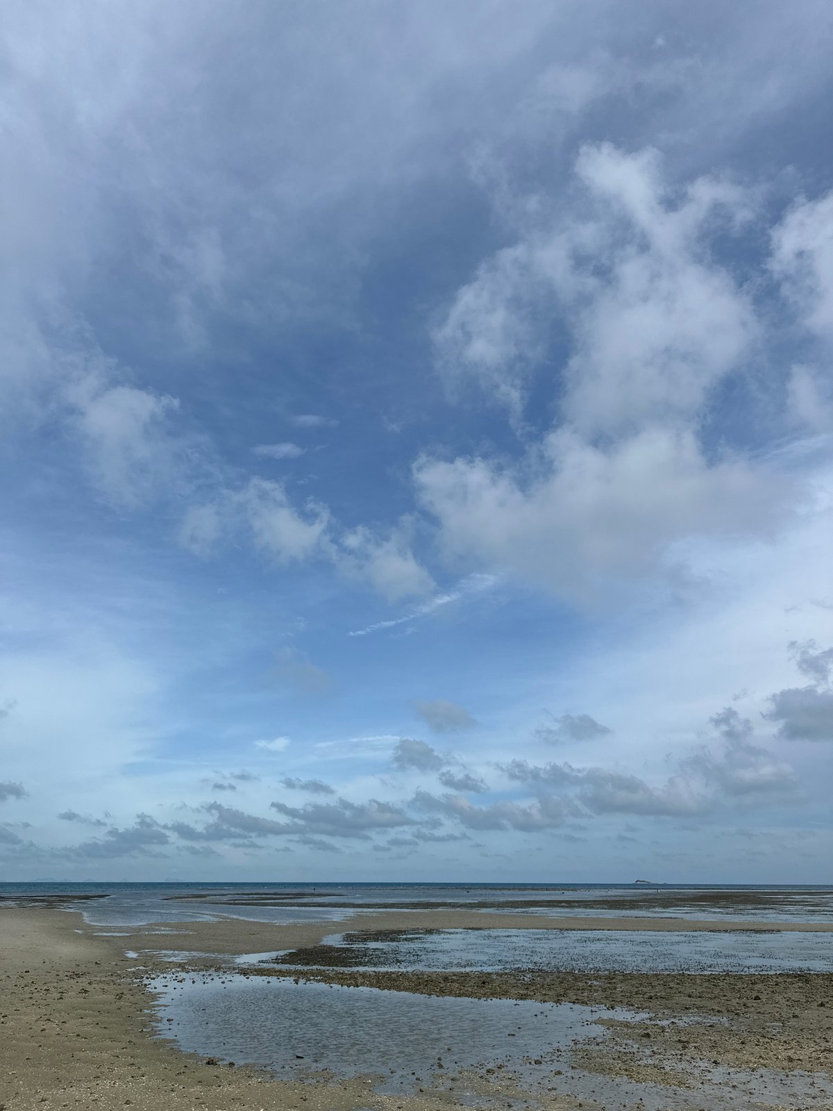 Low-tide beach wandering on Koh Phangan, barnacles and morning glory