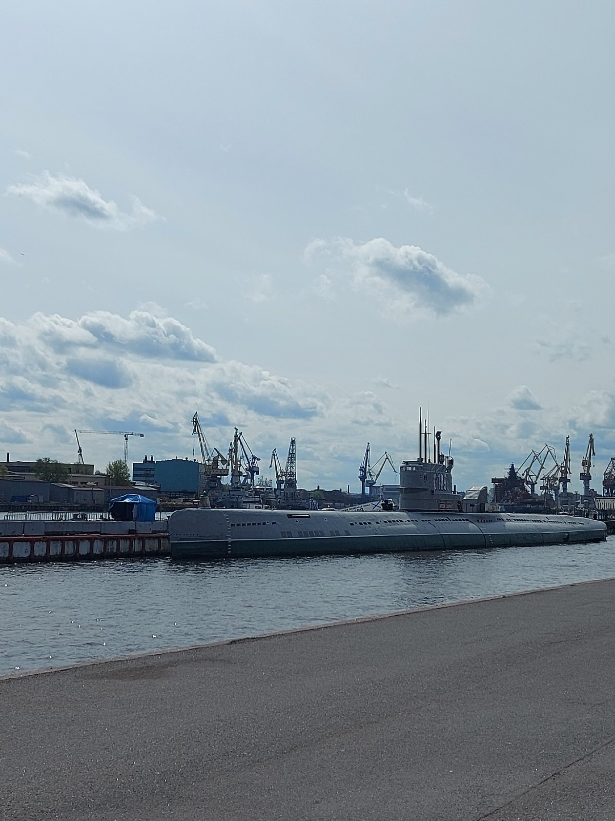 Morning waterfront scenes documented across Saint Petersburg's historic district