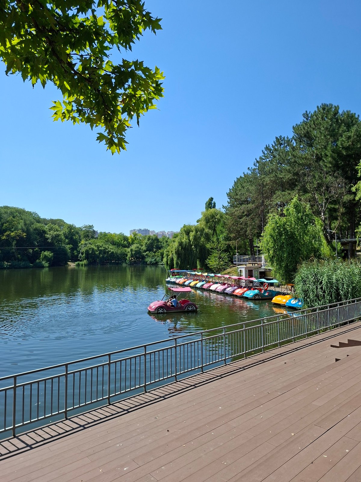 Lazy summer morning at Chișinău's Dendrarium Park lake