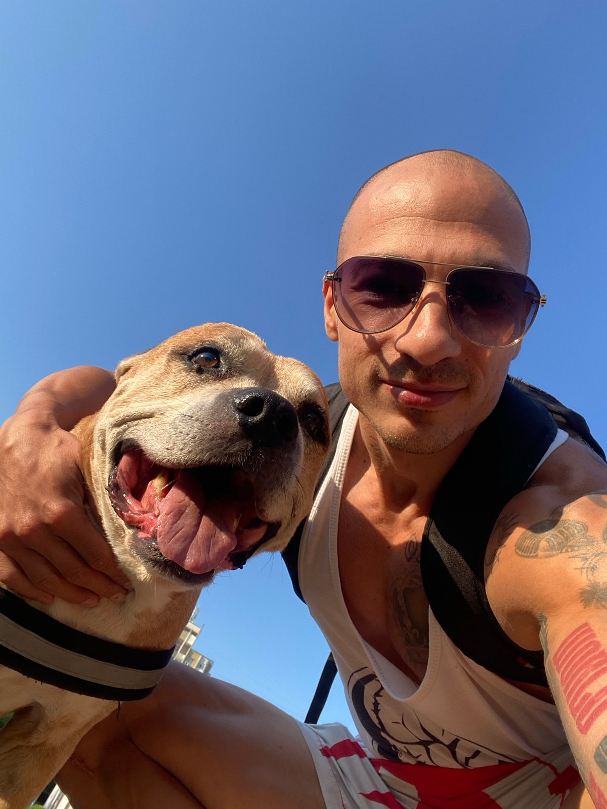 Sunny selfies with a pit bull in Pleven, Bulgaria