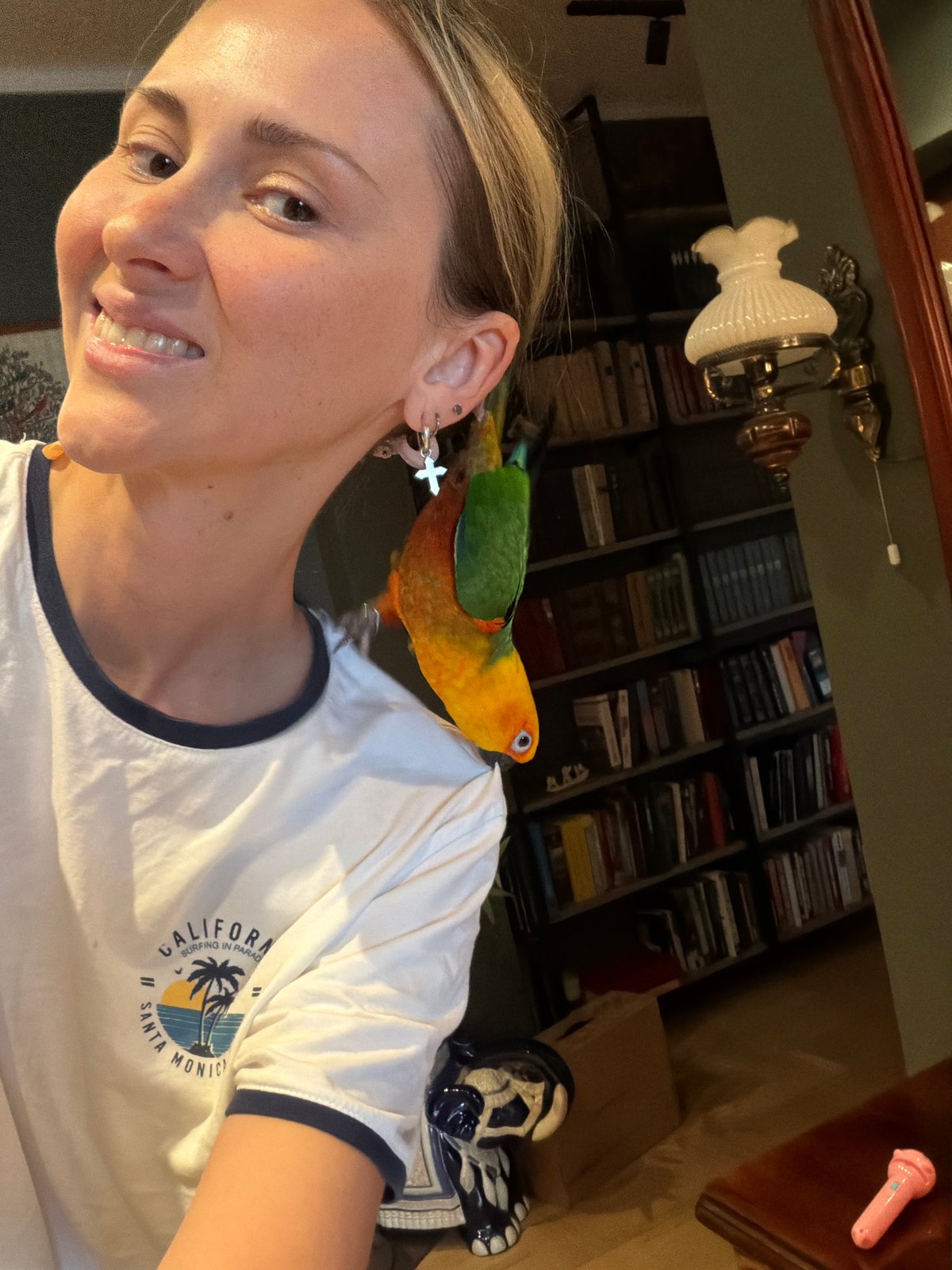 Afternoon outing with a sun conure in Khimki