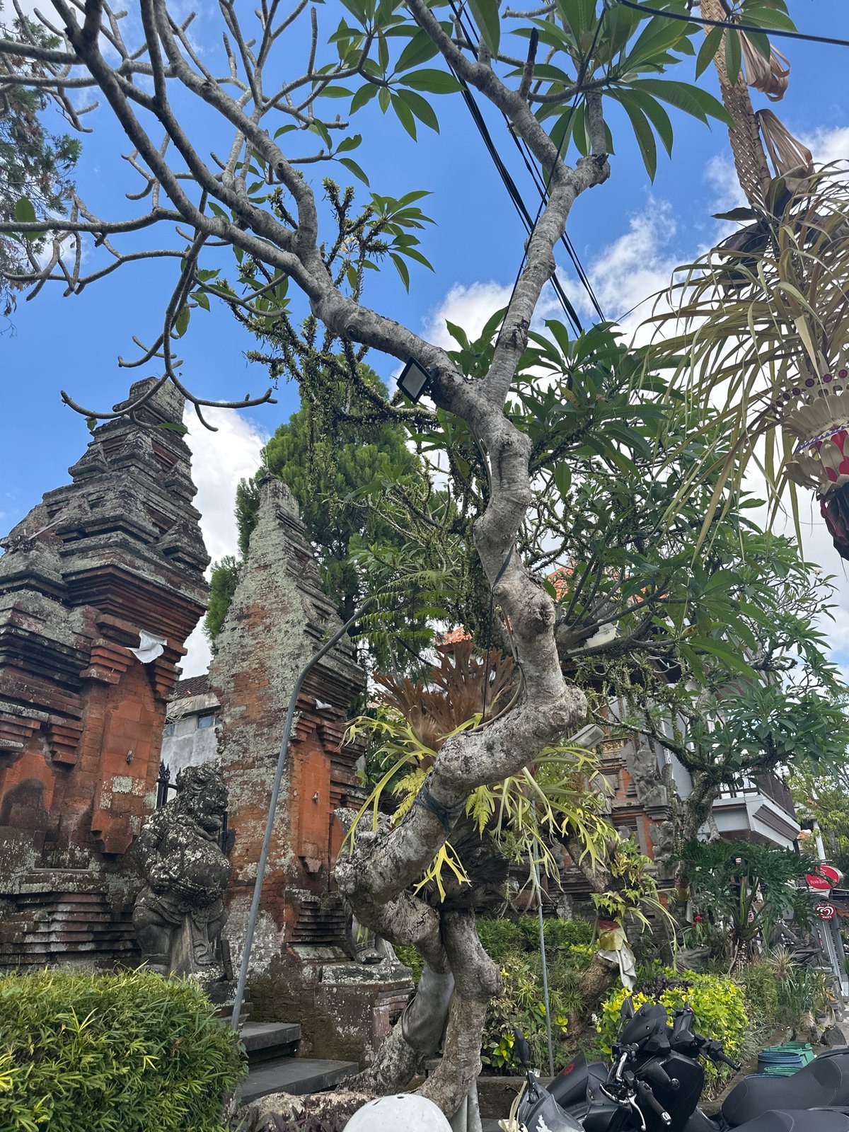 Early morning through Ubud's temples, streets, and market stalls