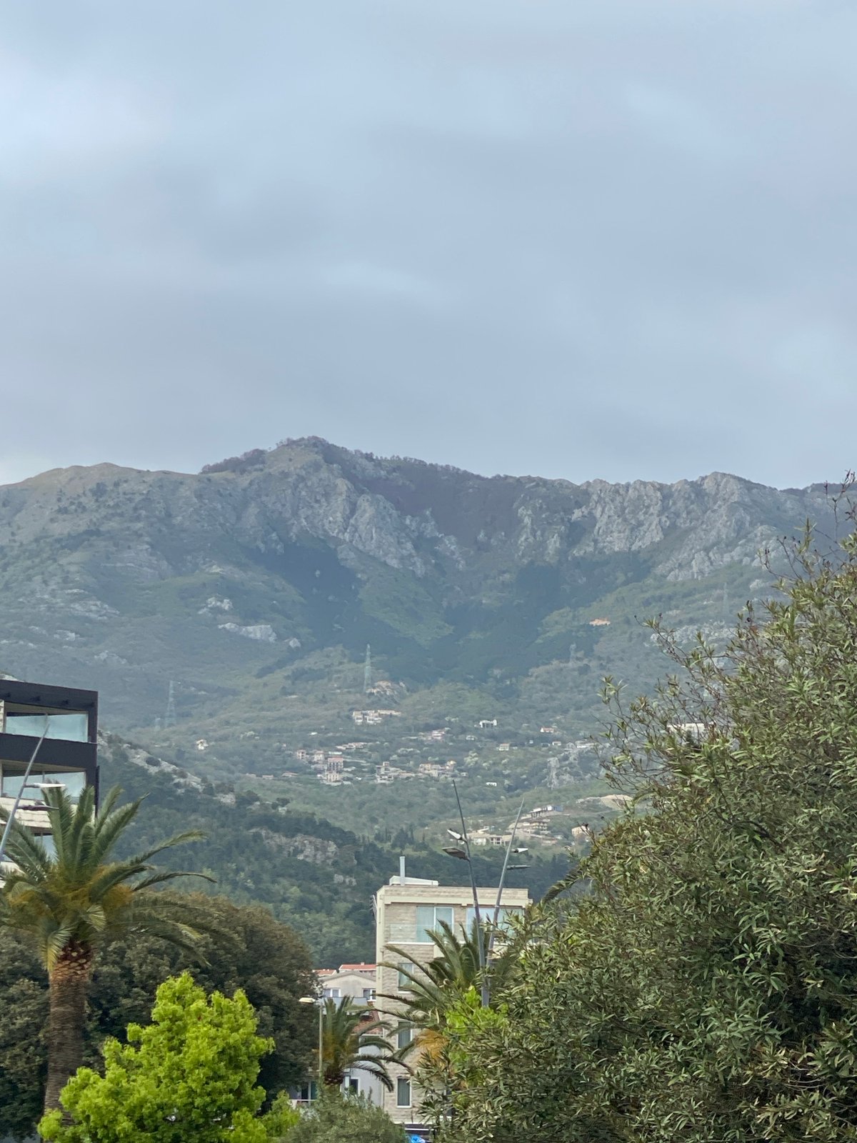 Dog walker captures everyday park scenes in Budva, Montenegro