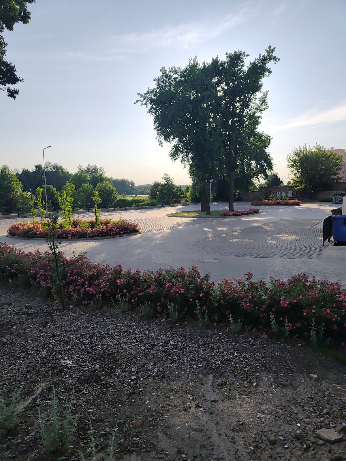Sunny afternoon stroll through a park and surrounding neighborhood