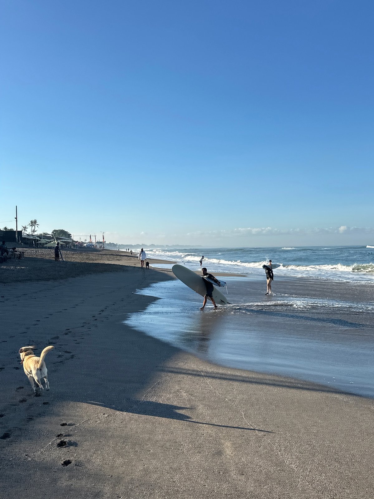 North Kuta beach life: surf, sand, dogs, and downtime