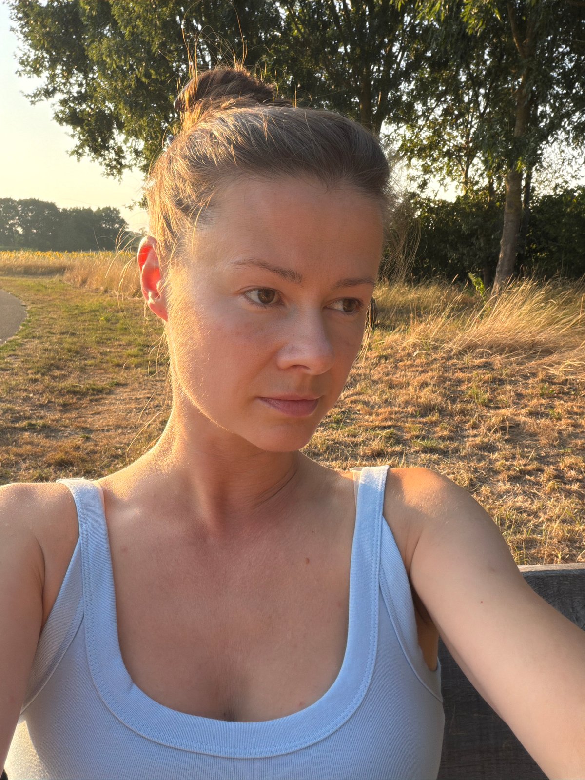 Golden hour evening in the fields and roads of Melick