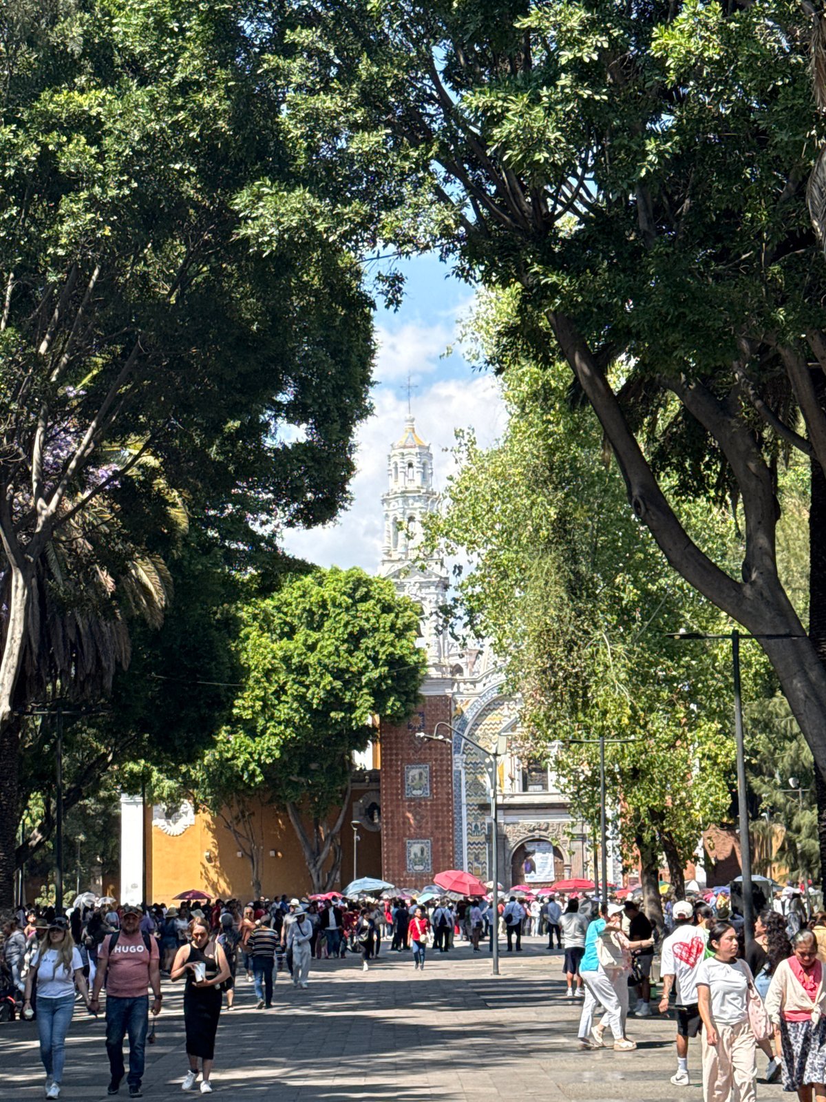 Evening crowd walks tree-lined street near Templo de San Francisco