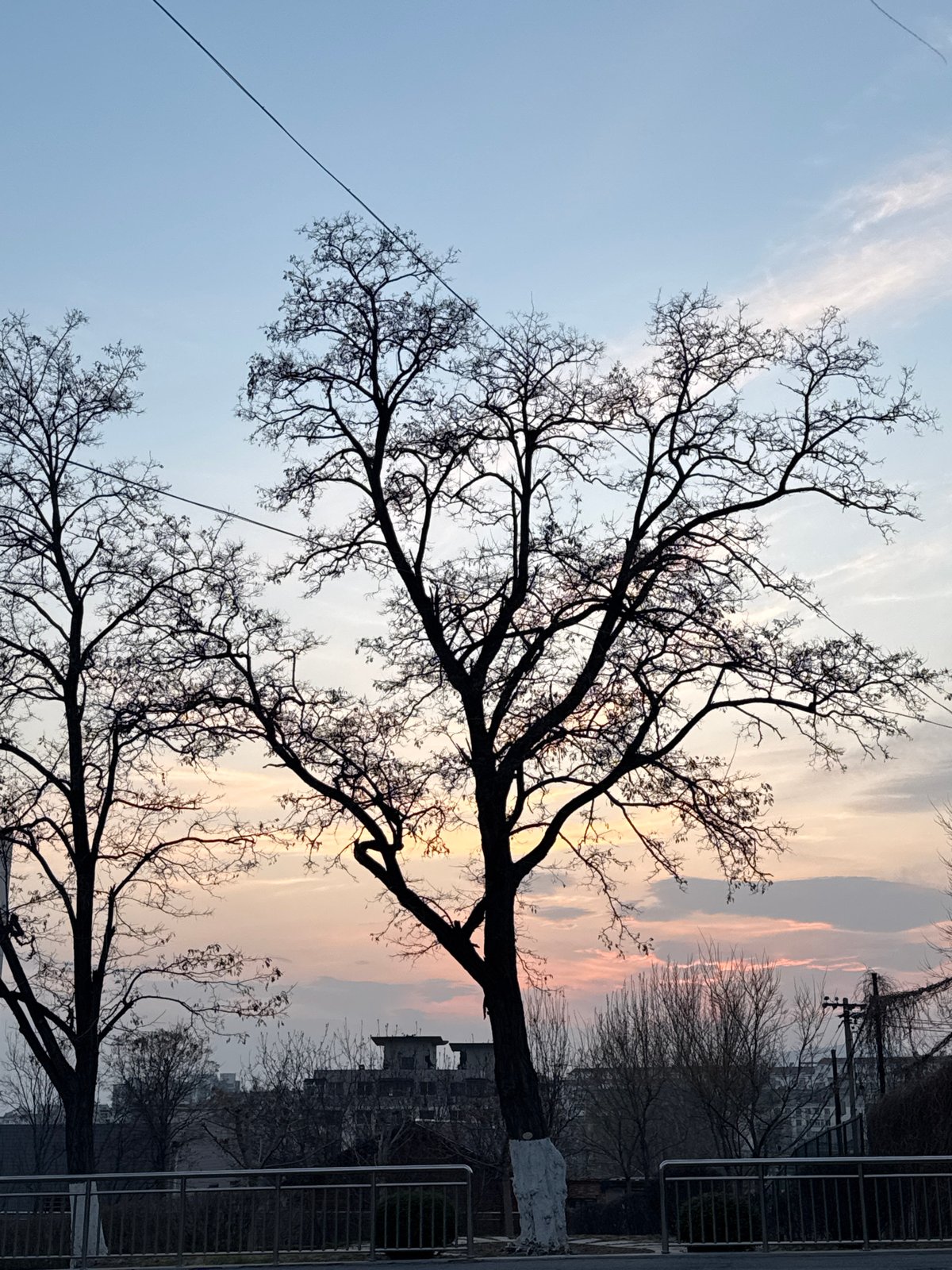 Morning life documented in Zhongtun: scooters, sports, construction
