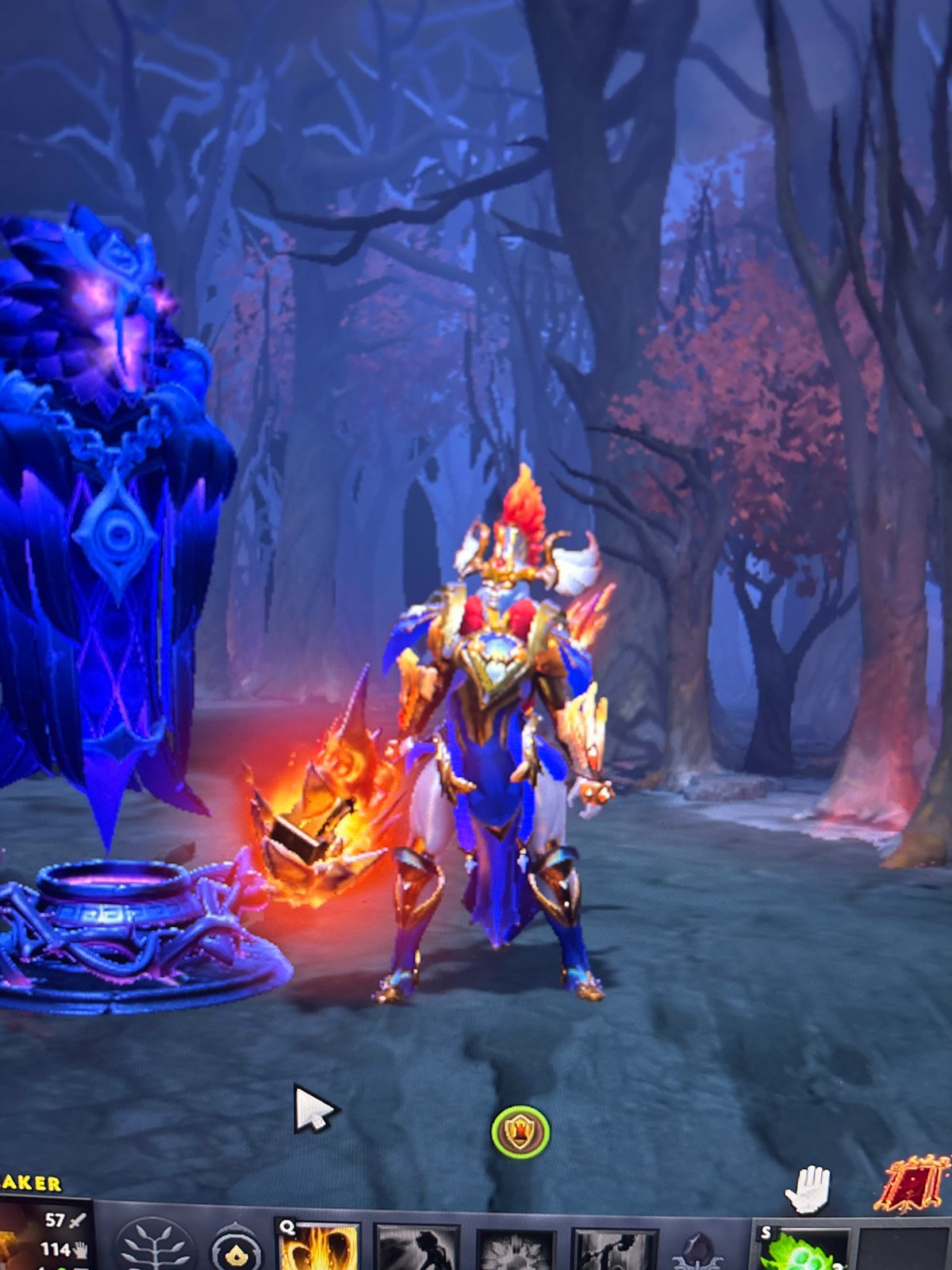 Gamer plays hour-long Dota 2 session in Sofia home