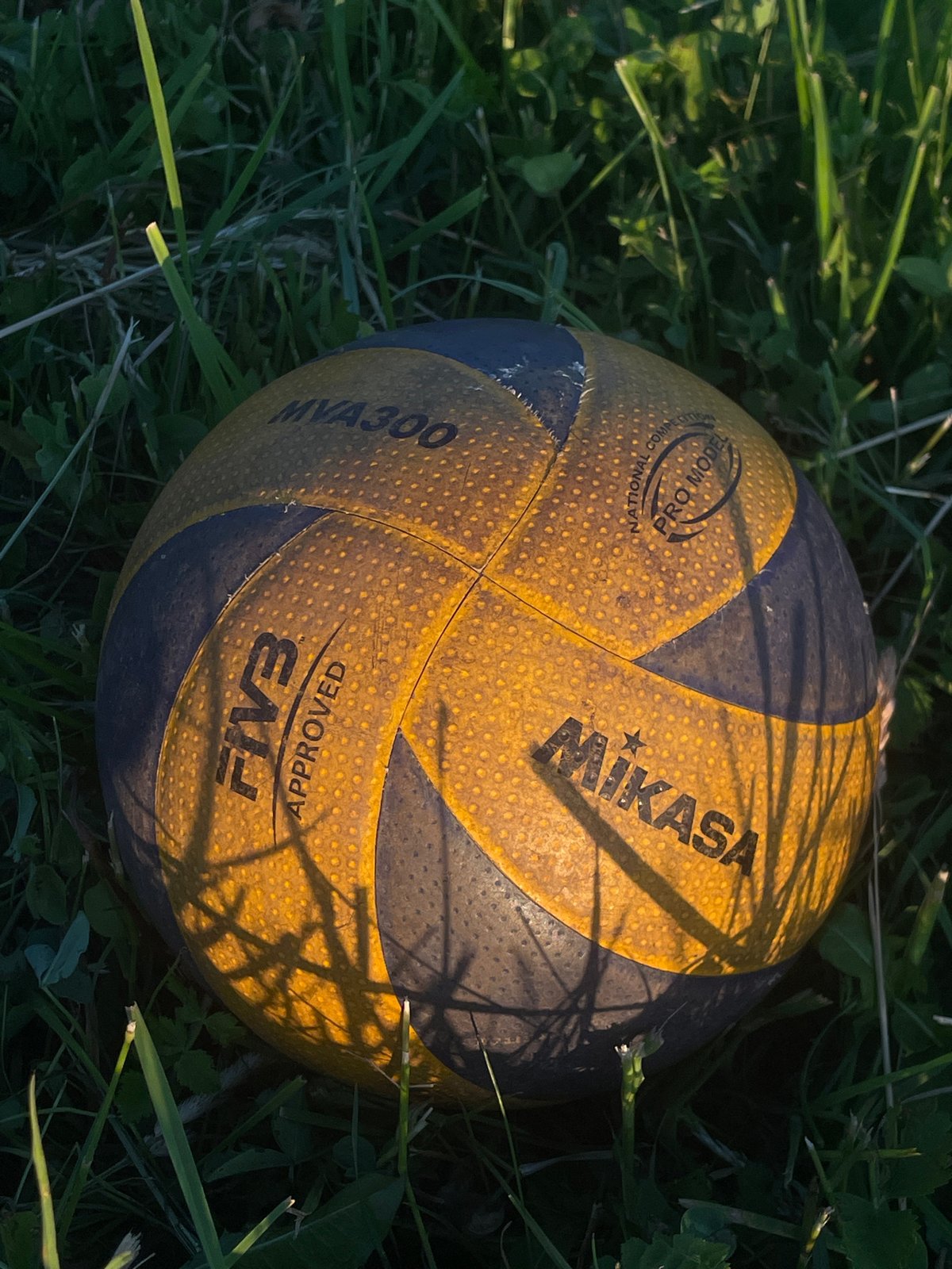 Volleyball game played on grass field in rural Russia