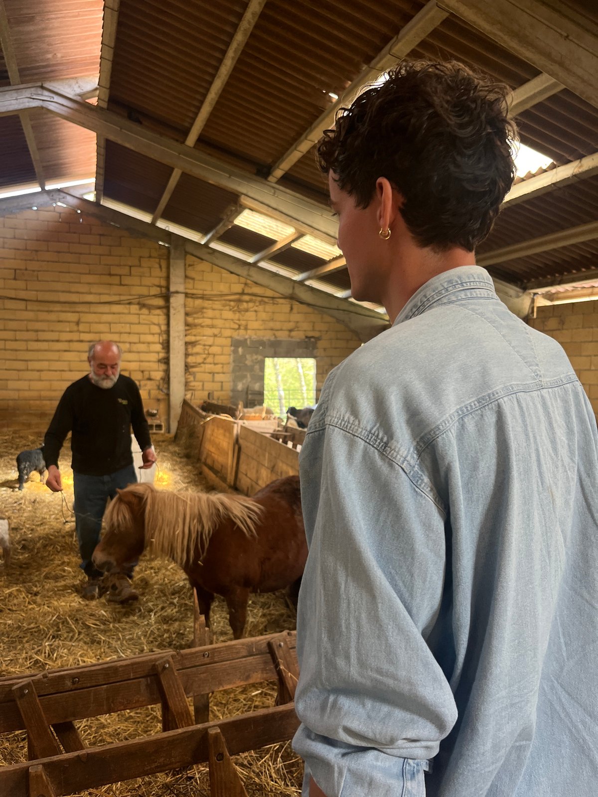 Person spotted in barn interior in Abadiño, Spain