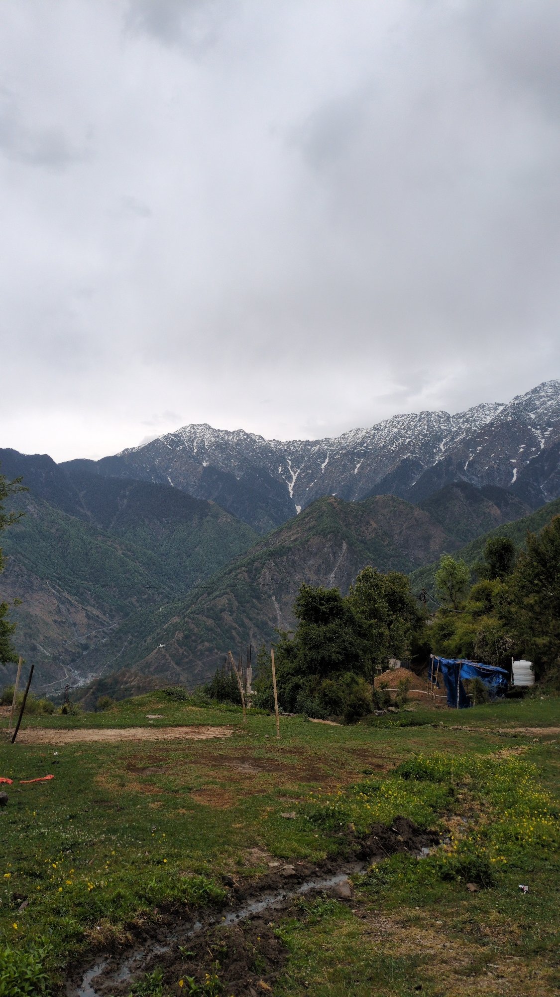 Tourist documents scenic mountain village views in Naddi, India