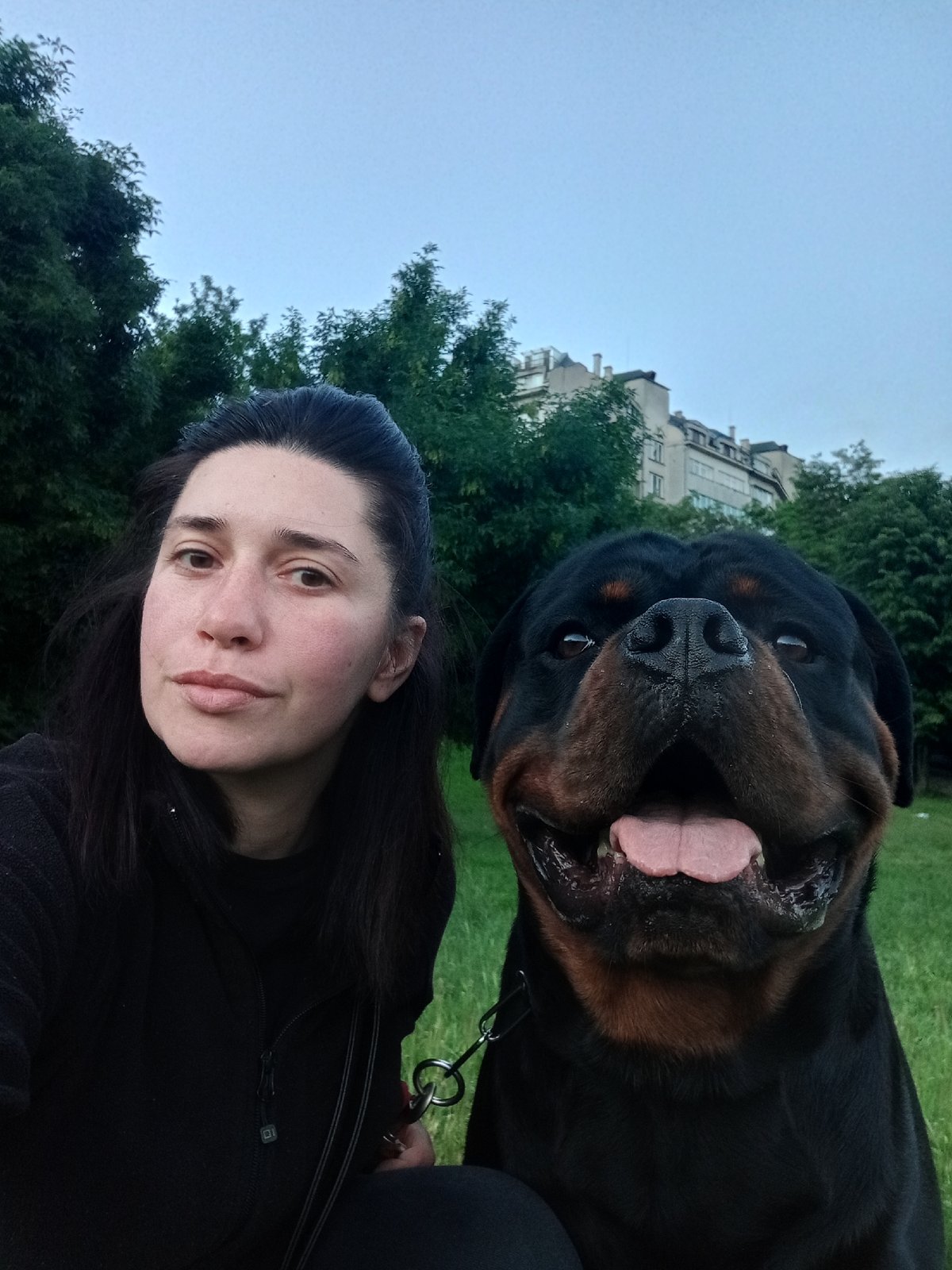 Woman walks Rottweiler through Sofia, raccoon spotted at gas station