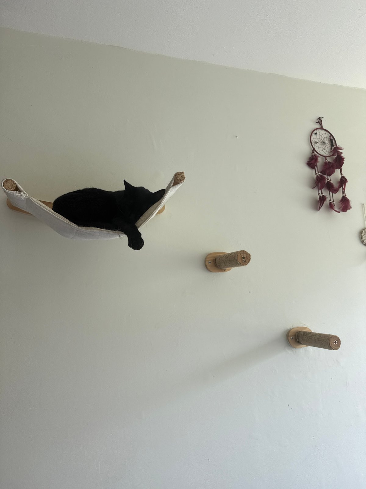 Indoor living space documented in Cuernavaca home