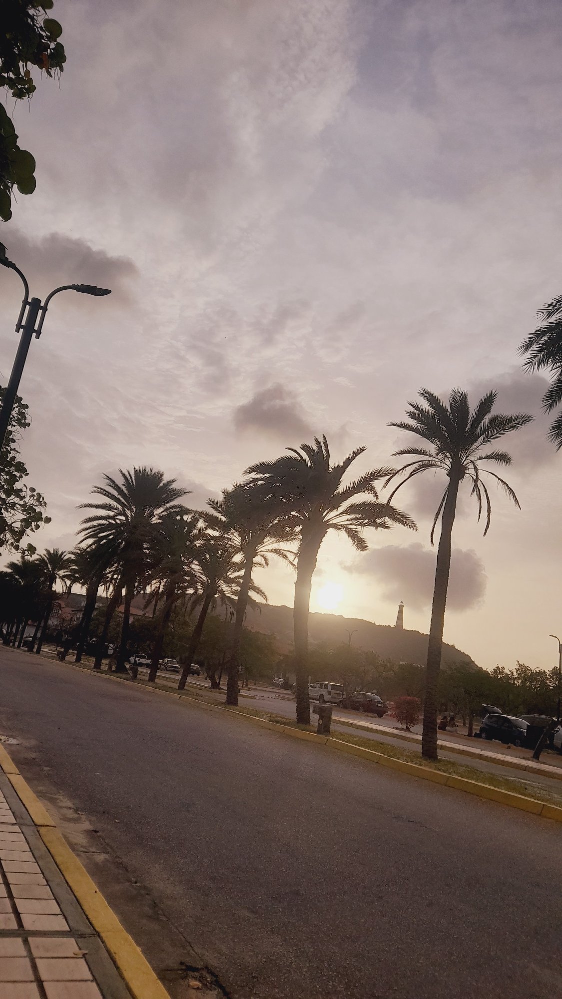 Sunset documented along palm-lined road in Pedro González, Venezuela