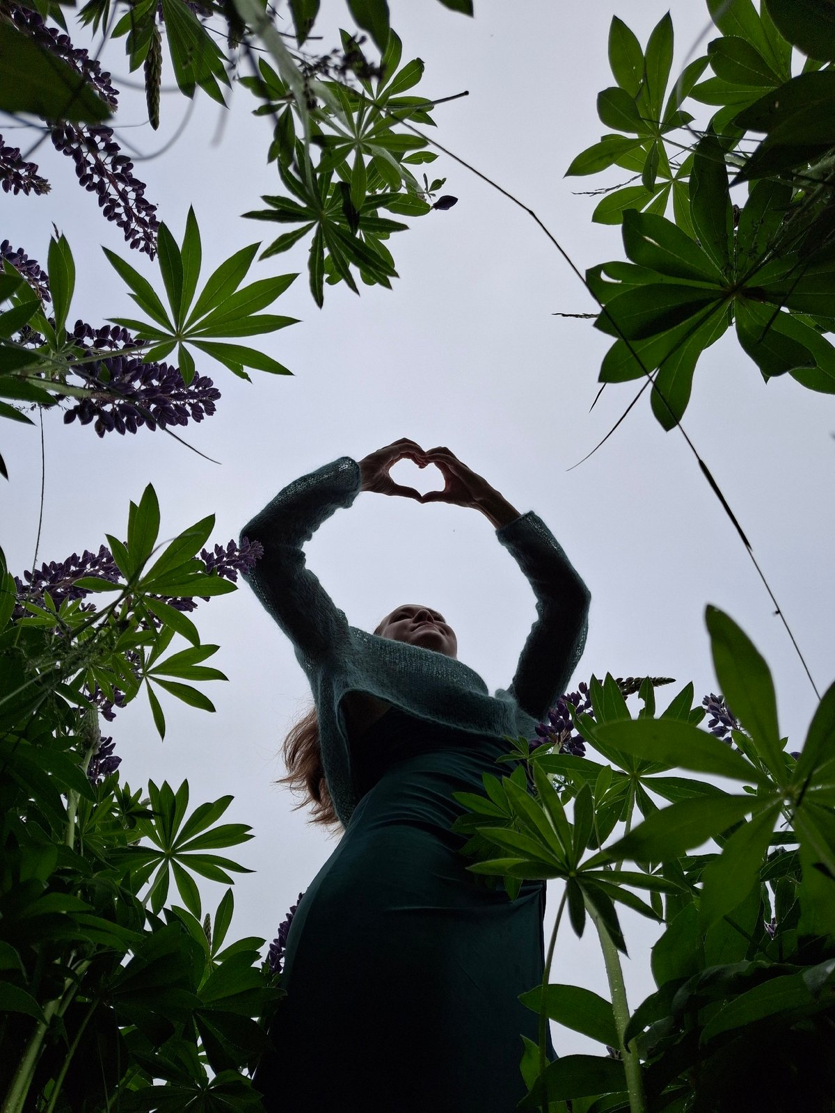 Woman photographs herself in lupine field near Chaikovsky, Russia
