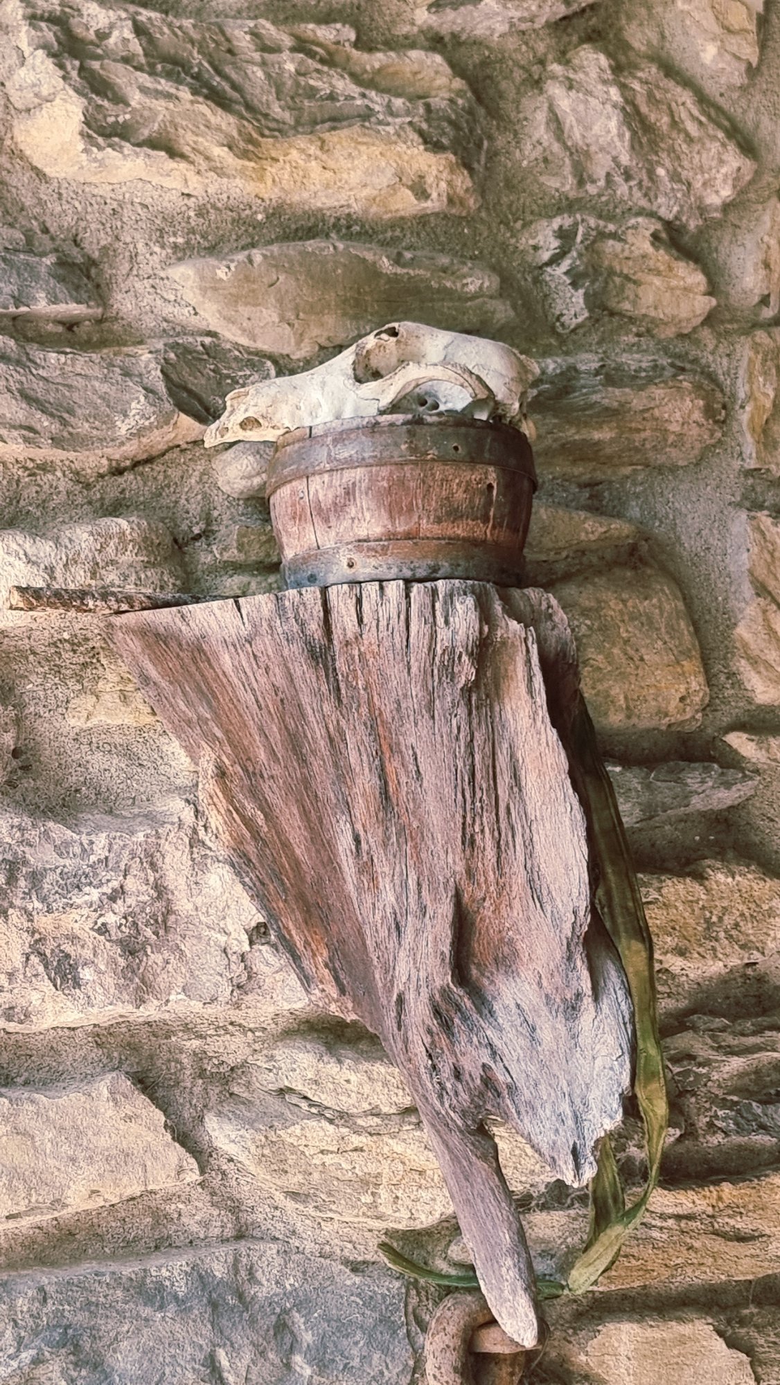 Camprodon's stone streets, river, and summer crowds