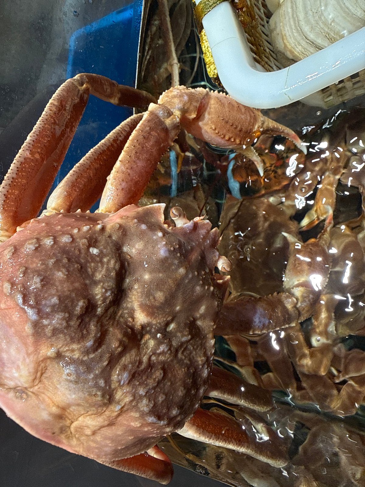 Seafood Market Visit Documented in Yiwu, China
