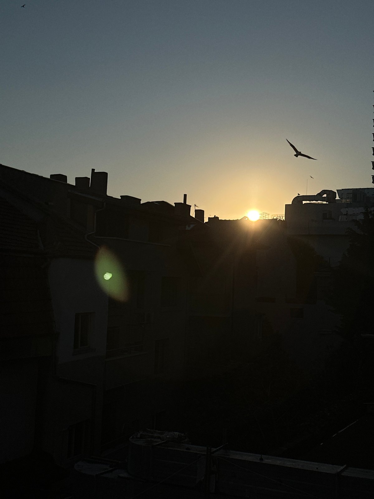 Sunset captured over Varna cityscape with bird in flight