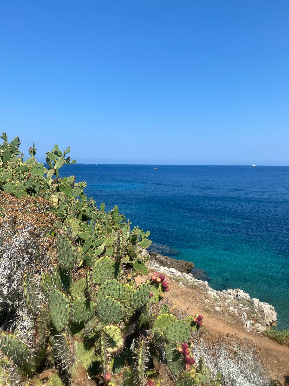 Sun-drenched streets and rocky coast in Antibes