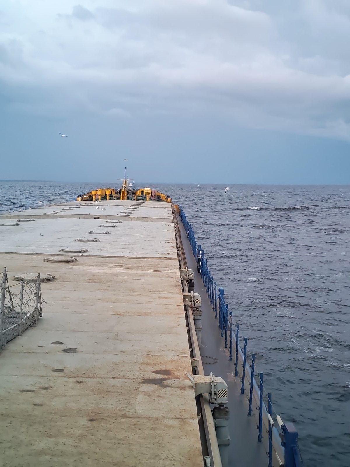 Choppy water, overcast skies, and seagulls at a Russian pier