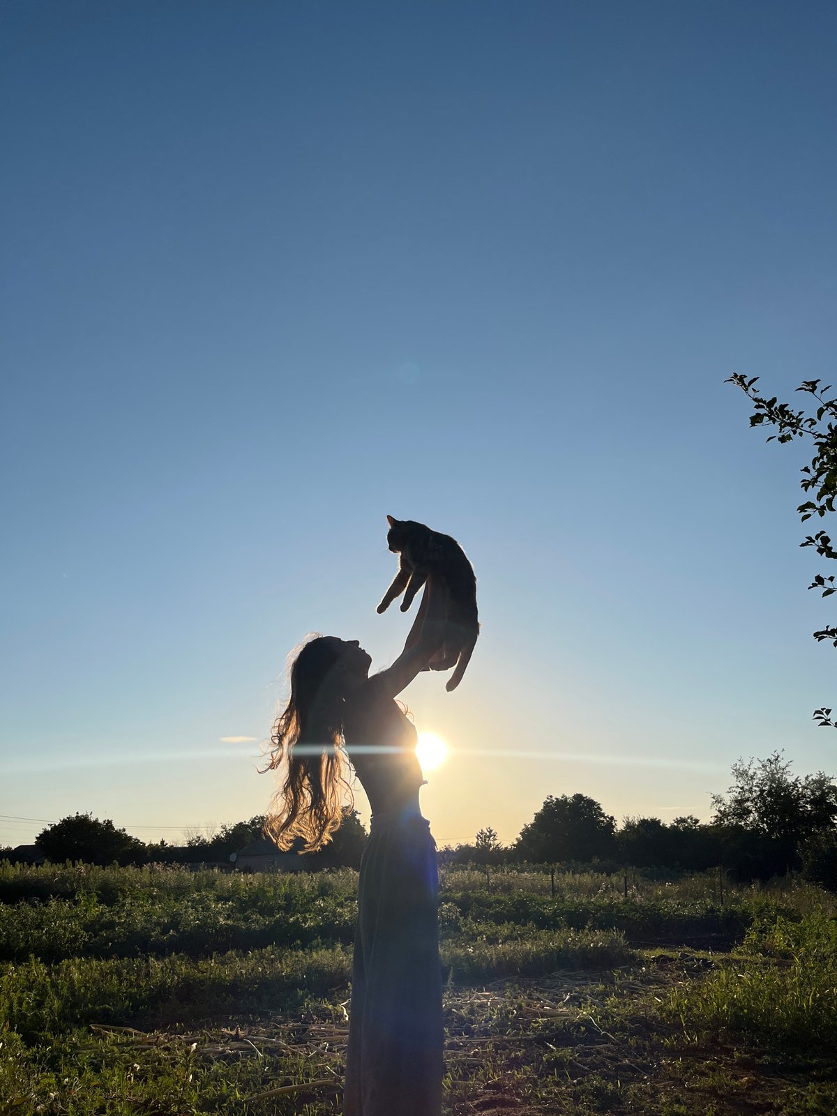 Sunset silhouettes: dancing, a cat aloft, golden backlight