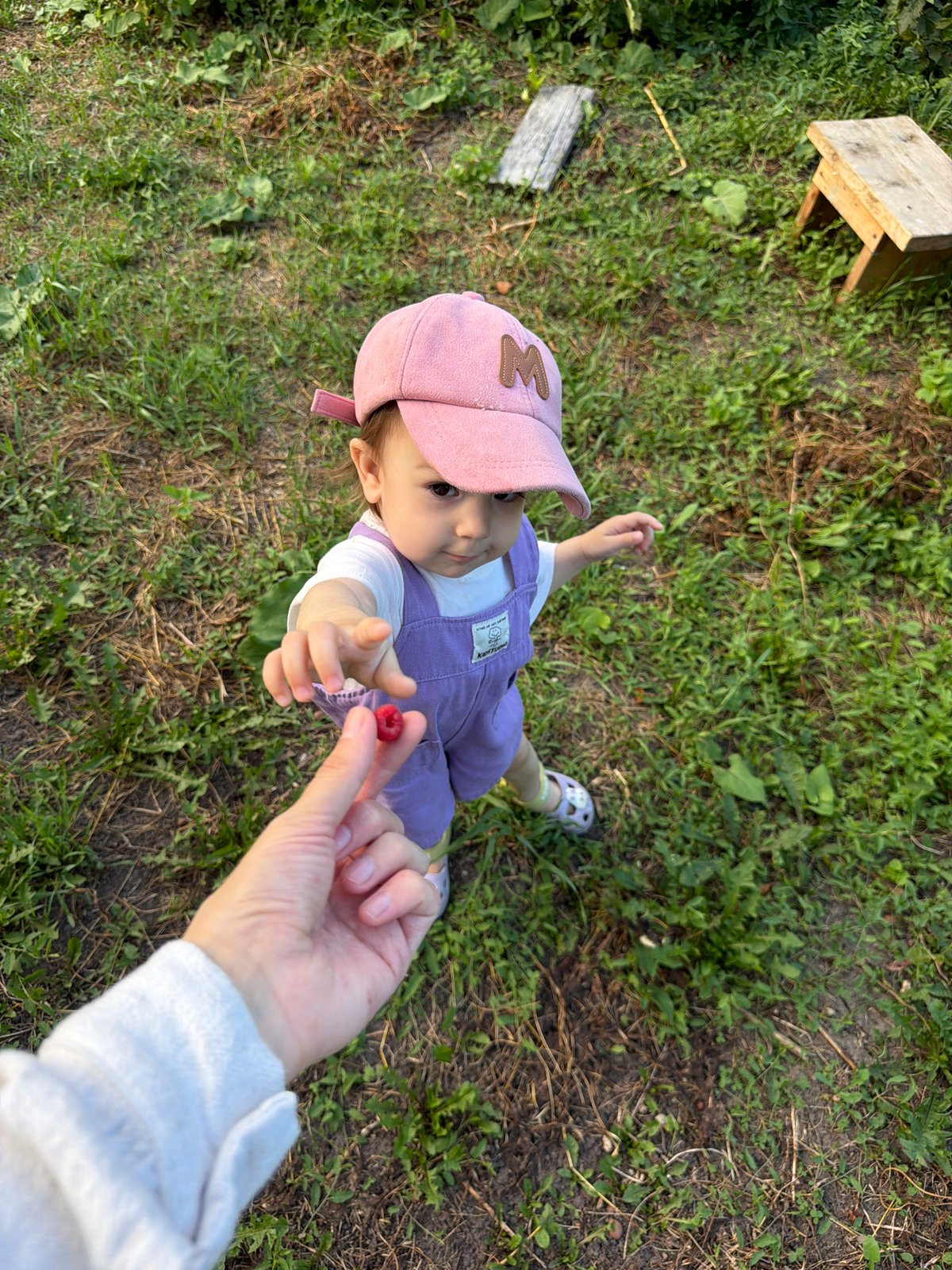 A quiet summer afternoon in Vikulovo, flowers and all