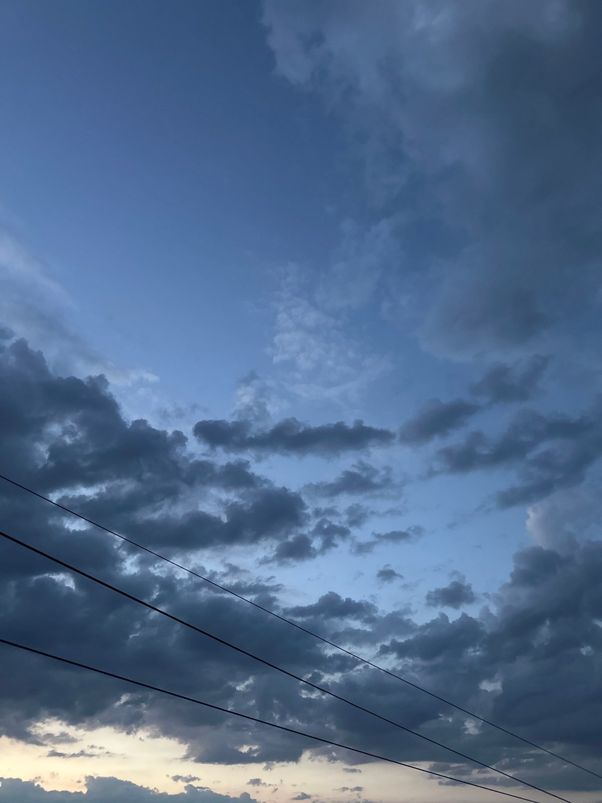Cat watches a stormy twilight from a window in Energetik