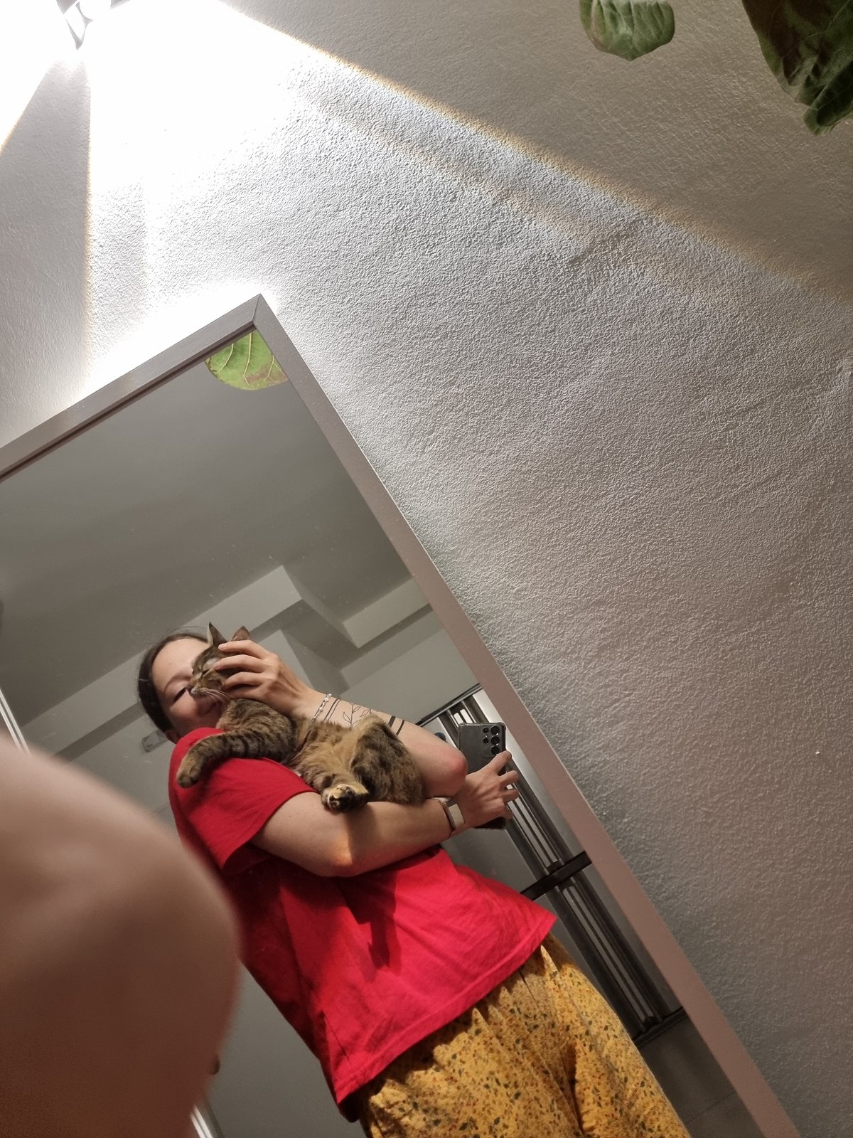 Mirror selfie and playful cat captured in Ramat Gan